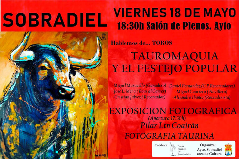 Hablemos de... toros