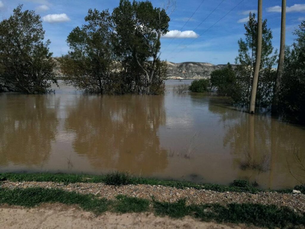 Ayudas agrícolas riadas 2021