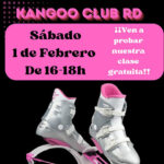 Kangoo Club RD