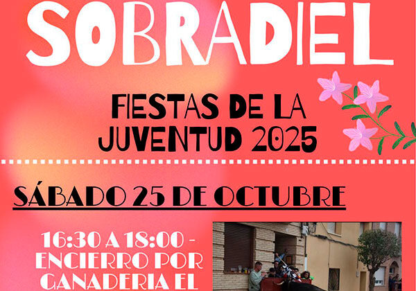 Encierros fiestas de la Juventud