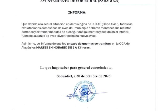 BANDO MUNICIPAL | GRIPE AVIAR